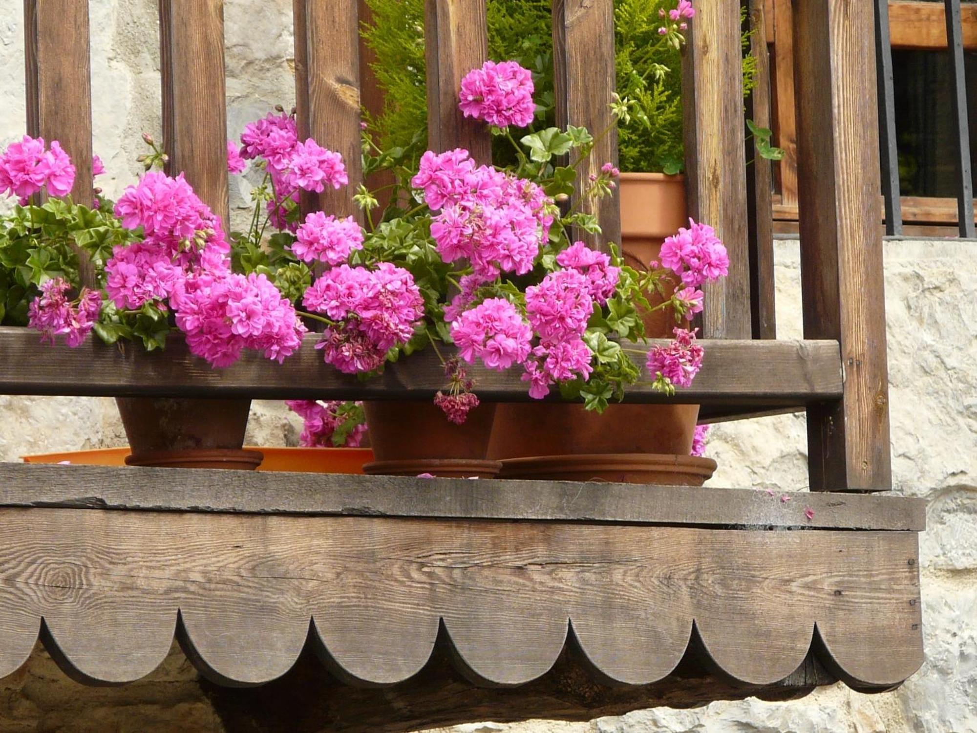 Hotel Rural Zalama San Pelayo  外观 照片